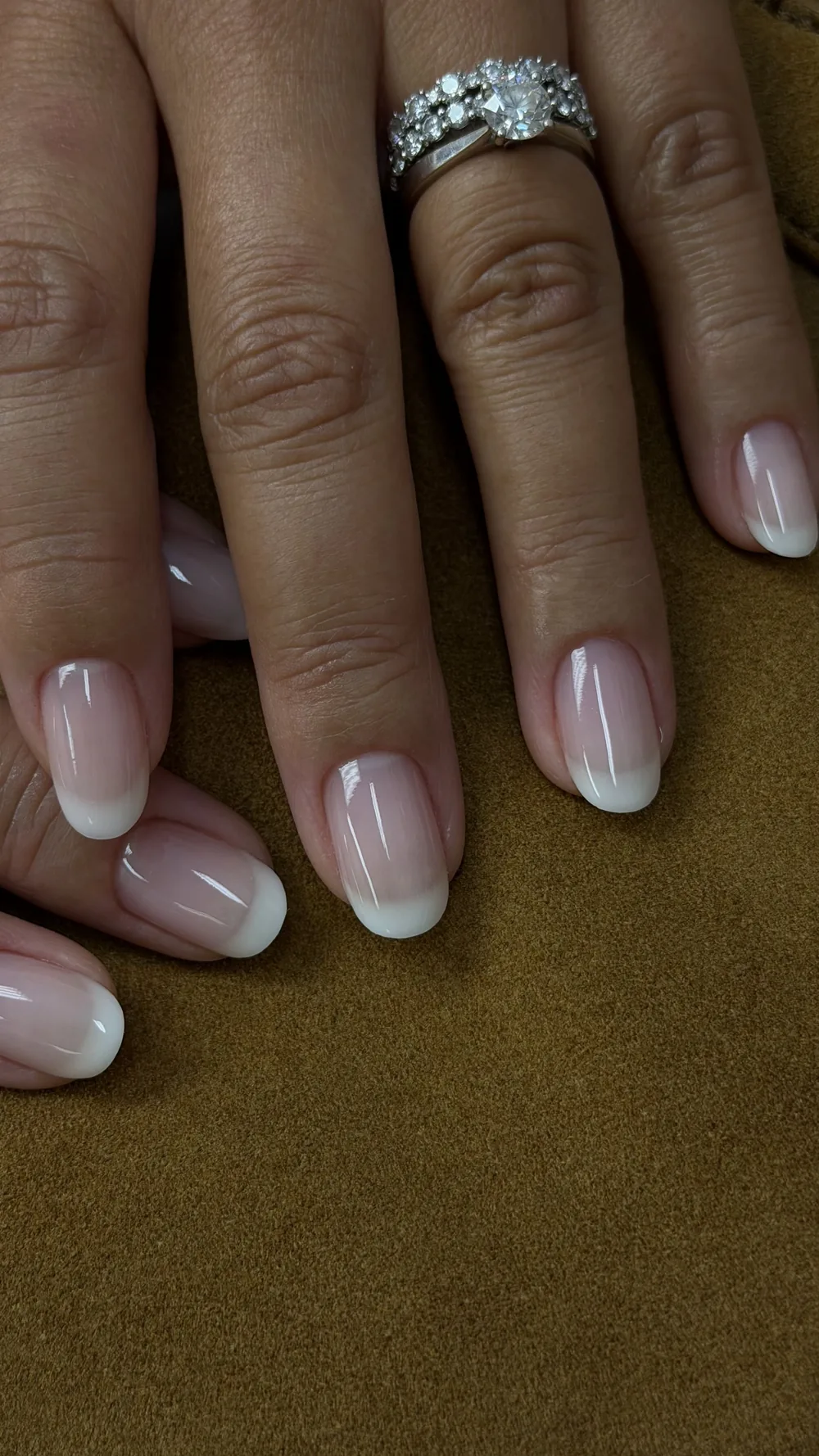 Soft natural French manicure with a delicate white tip